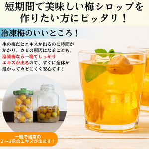 冷凍 梅 5kg 家庭用 / 南高梅 訳あり 黄梅 完熟梅 梅ジュース 梅酒 和歌山 ※7月上旬より翌年3月末まで順次発送 ※北海道・沖縄・離島への配送不可 【ikd510-c-5A】