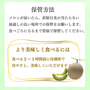 【先行予約】令和8年度産 数量限定 アールス メロン 2玉 1.5kg以上  JA ハイナン 牧之原市 静岡県 【2026年7月から順次発送】