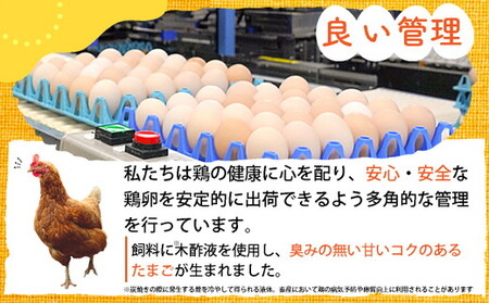 【TVで紹介】【6回定期便】卵 霧の卵 120個 定期便【北海道・沖縄・離島配送不可】