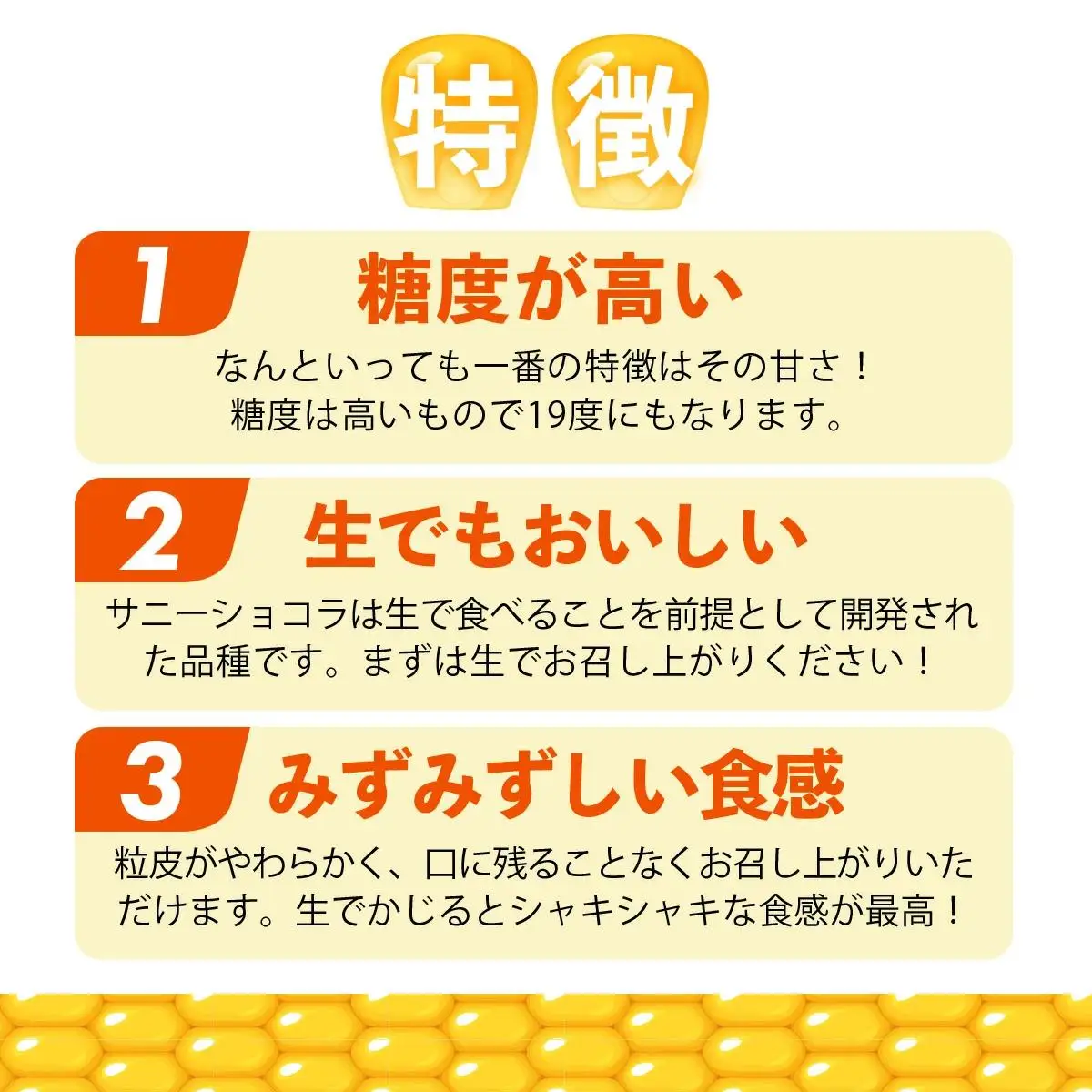 上品な甘さのトウモロコシ「サニーショコラ」(3.5kg前後/10本)　| サニーショコラ トウモロコシ 甘い コーン とうもろこし 野菜 BBQ おやつ