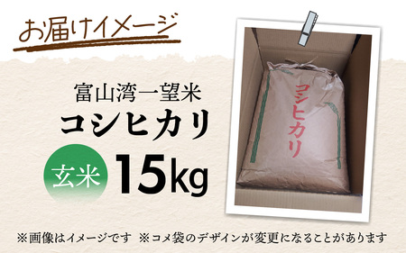 富山湾一望米　コシヒカリ 玄米 【容量15kg】 [D-051001]