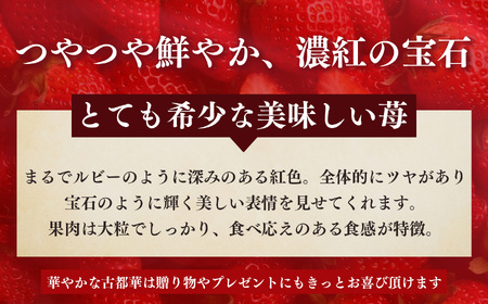 古都華 約540g （270g×2P）Lサイズ以上 