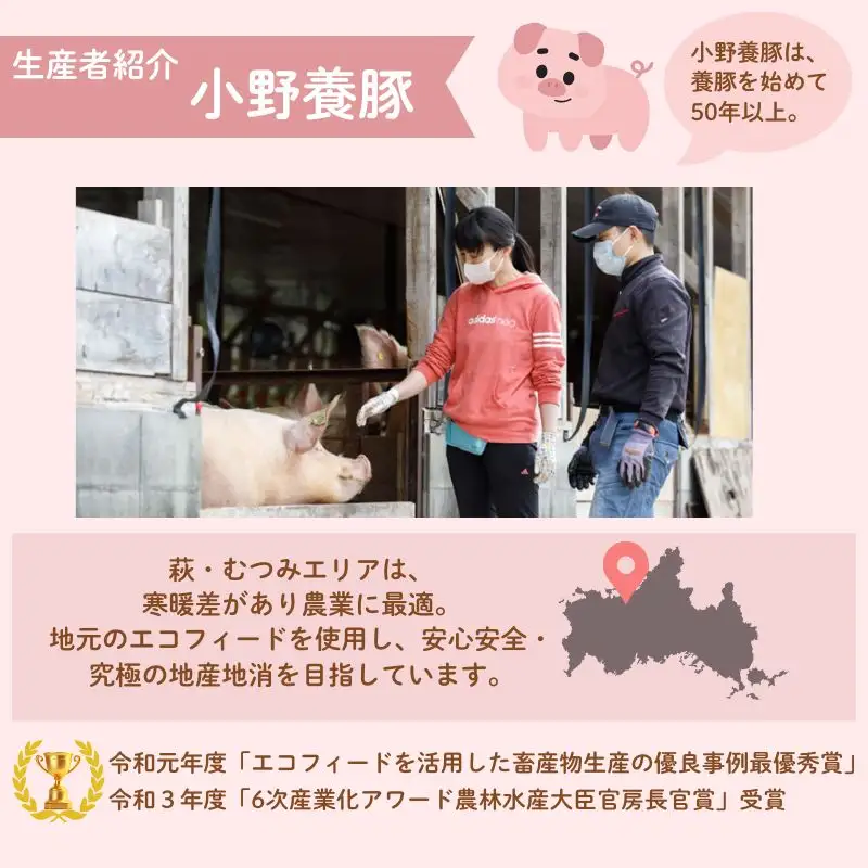 豚まん セット 萩むつみ豚 4個入り 2箱