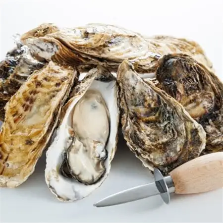 【先行受付】仙鳳趾名産牡蠣 150g～199g×35コ+かきナイフ付き かき漁師直送 K1-8【配送不可地域：離島・沖縄県・信越、北陸・東海・近畿・中国・四国・九州】【1624361】