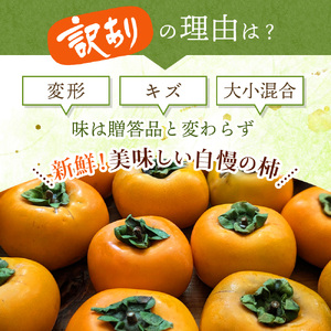 柿 【訳あり・ご家庭用】柿農園「渋柿隊」が直送 たねなし柿「渋あり」訳あり 約1kg【9月下旬～11月初旬頃順次発送】【CD-wann001】