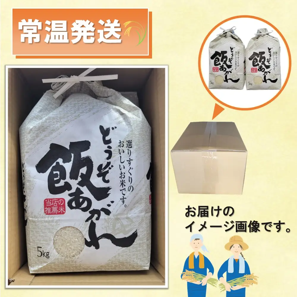 【令和8年産 新米先行受付】さがびより 精米 5kg×2【6ヶ月定期便】(H061A94)