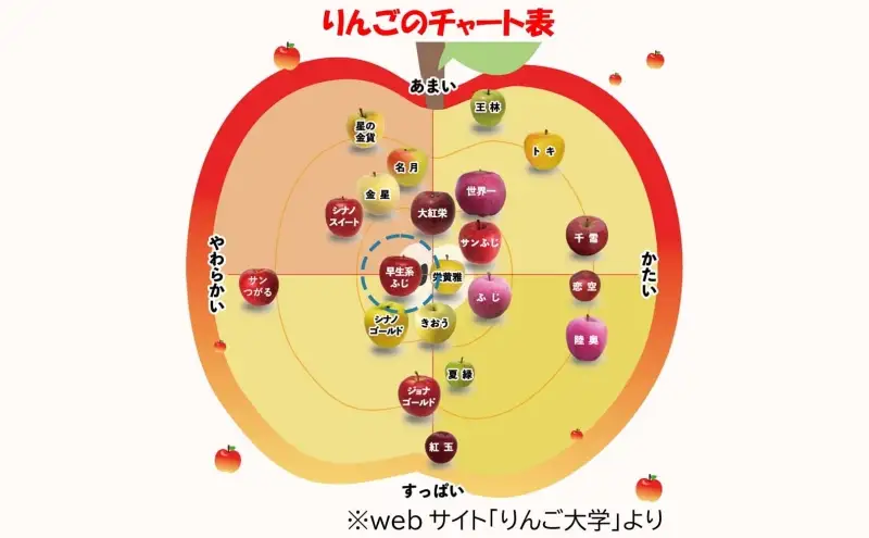 りんご 【9月・10月発送】贈答用 早生ふじ 約5kg　リンゴ 林檎 青森りんご 糖度 13度 甘い 酸味 デザート フルーツ 果物 お取り寄せ 産地直送 旬 季節限定 弘果物流 青森県 西目屋村 西目屋村産