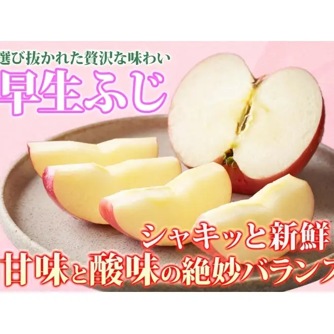 りんご 【9月・10月発送】家庭用 早生ふじ 約3kg　リンゴ 林檎 青森りんご 糖度 13度 甘い 酸味 デザート フルーツ 果物 お取り寄せ 産地直送 旬 季節限定 弘果物流 青森県 西目屋村 西目屋村産