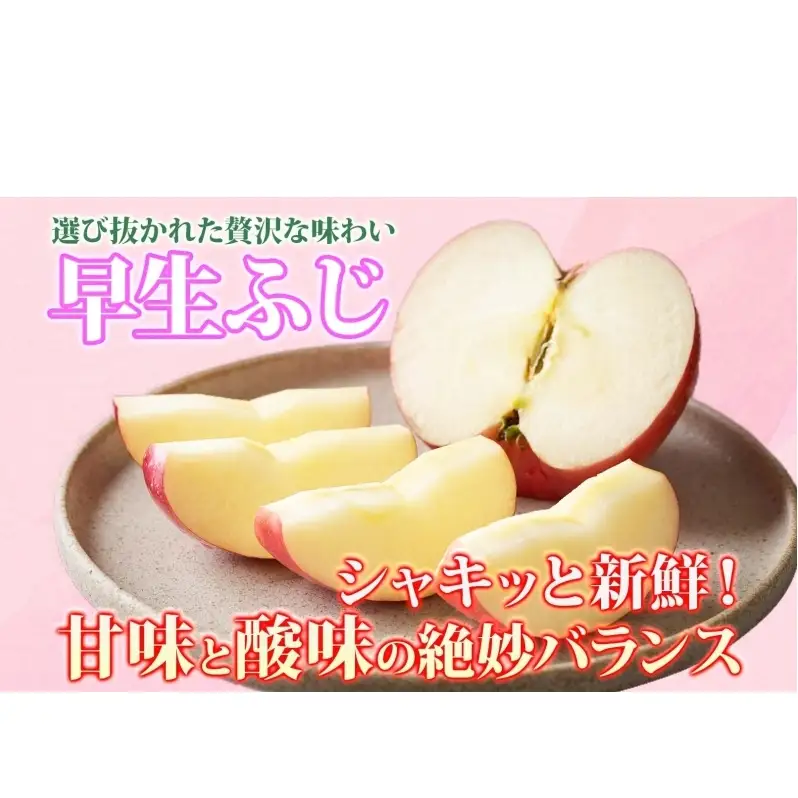 りんご 【9月・10月発送】家庭用 早生ふじ 約5kg　リンゴ 林檎 青森りんご 糖度 13度 甘い 酸味 デザート フルーツ 果物 お取り寄せ 産地直送 旬 季節限定 弘果物流 青森県 西目屋村 西目屋村産