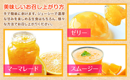 ＜先行予約＞初夏のみかん なつみ 約 5kg 株式会社 魚鶴商店 みかん 蜜柑