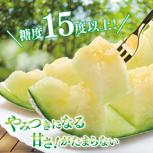 阿見グリーンメロン 4Ｌサイズ(3玉入り)(化粧箱) 青肉 高糖度 高級 甘い 夏限定 旬 フルーツ 果汁たっぷり 人気 産地直送 ギフト 茨城県 阿見町【先行予約｜2026年6月中旬より配送】（76-04）