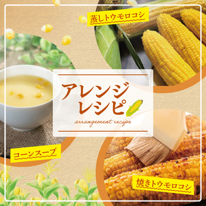とうもろこし 4本～6本入り（約2.3kg）朝採れ 高糖度  甘い コーン 夏限定 旬 野菜 新鮮 人気 産地直送 お取り寄せ 茨城県 阿見町【先行予約｜2026年6月中旬より配送】（76-05）