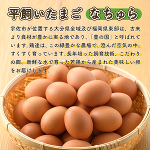 平飼い卵 なちゅら(計60個・10個×6P) 卵 玉子 鶏卵 卵かけご飯 玉子焼き【108800500】【カジワラファーム】