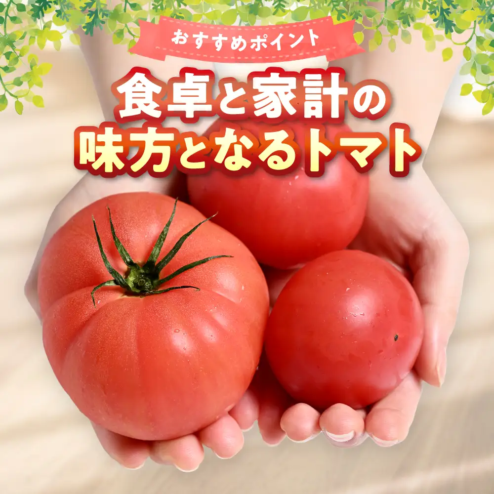 トマト 【訳あり】 おっぺしゃんトマト 3.5kg トマト とまと 野菜