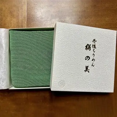 洗える丹後ちりめん「ちりめん美人」シルククッションカバー(グリーン)　ギフトにも　京都与謝野町より【1605747】