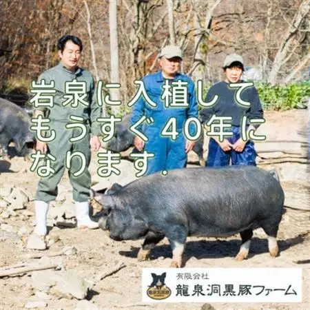 【岩泉町原産の銘柄豚】龍泉洞黒豚しゃぶしゃぶセット　バラ・モモ・ロース【配送不可地域：離島】【1618940】