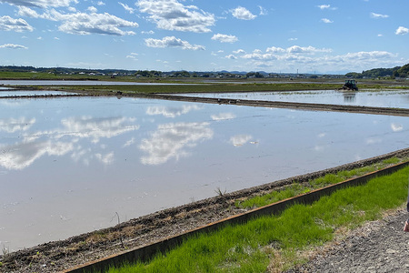 【令和7年度産】 松本さんちのお米10kg B15-004