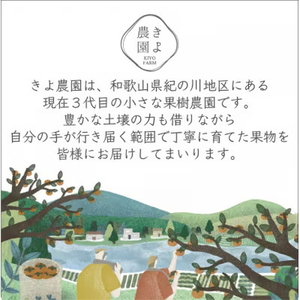 先行受付　柿(種無し)　赤秀品大玉　6個入　約1.8kg