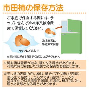 【 年内発送 】 市田柿 化粧箱 約700g 20～28粒 ＜2026年12月発送予定＞ ＪＡみなみ信州ＤＭセンター飯田市 | 長野県 飯田市