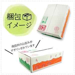 【南信州産】 サンふじ 約2.5kg (9～10玉) 【2026年11月下旬～順次発送】 ＪＡみなみ信州ＤＭセンター飯田市