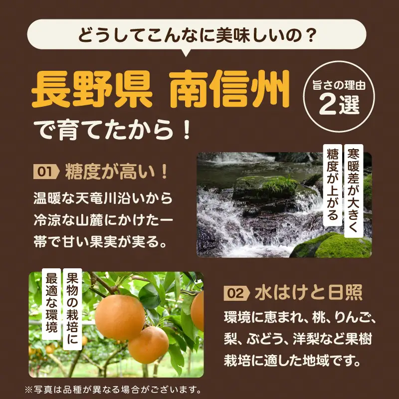 南信州産 幸水 または 豊水 秀品 約5kg 8～16玉 ＜2026年9月上旬～順次発送＞ ＪＡみなみ信州ＤＭセンター飯田市