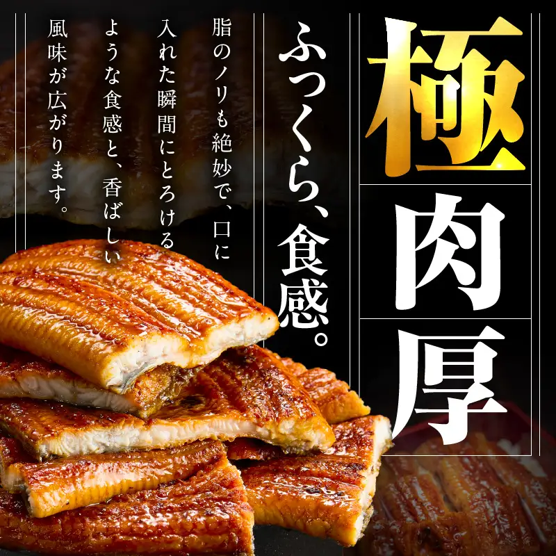 暴れ盛りセット 牛たん & うなぎ 総量 1.2kg