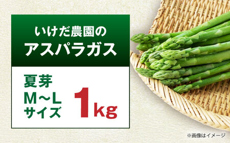 【先行予約】 山鹿市産 いけだ農園のアスパラガス 夏芽(MからLサイズ)　約1kg【いけだ農園】[ZFP001]