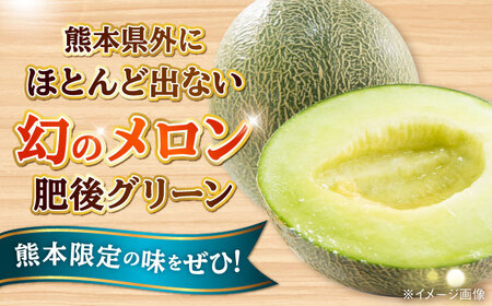 数量限定 肥後グリーンメロン小玉スイカセット各1玉計約4kg メロンひとりじめすいか AYAC016