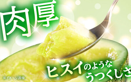 数量限定 肥後グリーメロン2玉計約4kg メロンめろん AYAC045
