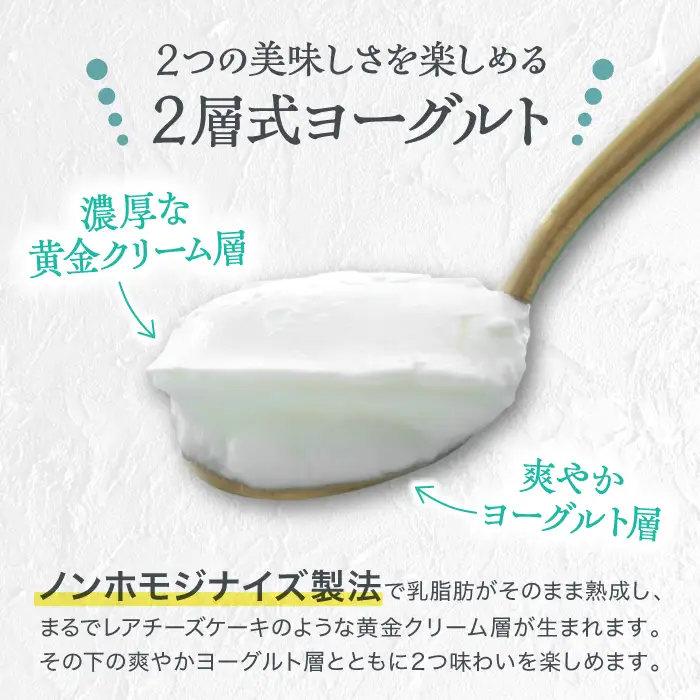 くまもと半熟よーぐるちょ 350g×5個 オオヤブデイリーファーム ヨーグルト 濃厚ヨーグルト AYAE004
