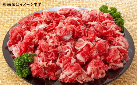 【全12回定期便】熊本県産 『原田畜産』 黒毛和牛 切り落とし 計約1kg（約250g×4パック） 牛肉切り落とし [AYCN047]