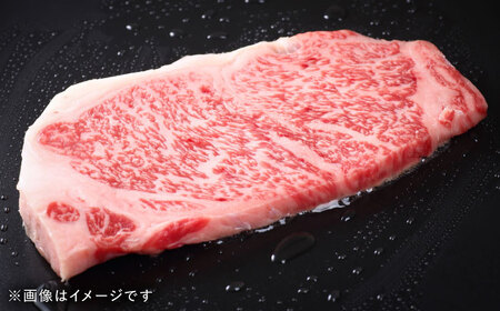 熊本県産 『原田畜産』 黒毛和牛 サーロイン ステーキ 計約400g（約200g×2枚）サーロインステーキ [AYCN049]