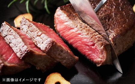 【全12回定期便】熊本県産 『原田畜産』 黒毛和牛 ランプ ステーキ 計約400g（約200g×2パック） ランプステーキ [AYCN090]