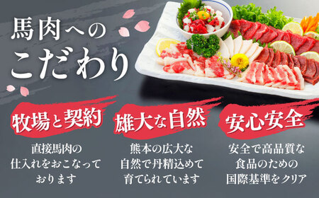 赤身馬刺し 約200g 馬刺し専用醤油付き[AYCP035]