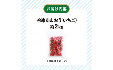 冷凍あまおう（いちご）約２kg