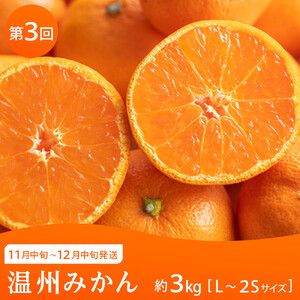 坂出市 旬のフルーツを味わう3回 定期便