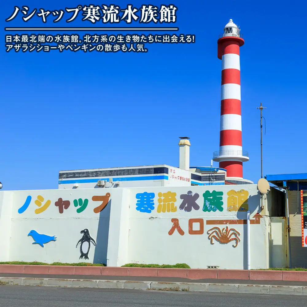 北海道 稚内市☆応援寄付金10000円☆【返礼品なし】