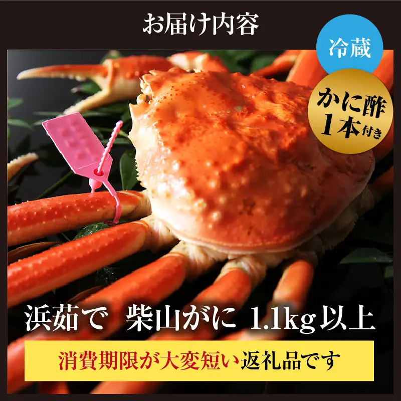 【先行予約】カネニの浜茹で柴山がに 1.1kg以上 冷蔵 【令和8年11月中旬以降発送予定】高級 かに カニ 06-22