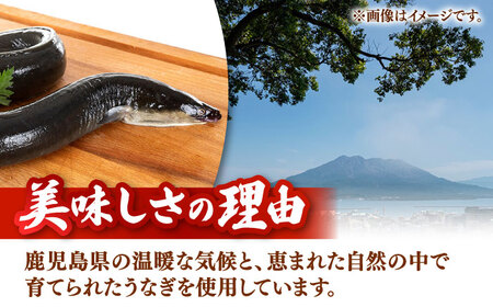 【全12回定期便】国産 うなぎのひつまぶし 70g×5パック 桂川町/山水商事 [ADAH039] 小分け 鹿児島 ウナギ ひつまぶし