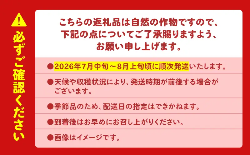 【 糖度12度以上 】シャリッ と 甘い 三浦の大玉スイカ まつりばやし11  2L 6～7kg を 2玉 M107-002-04 果物 すいか