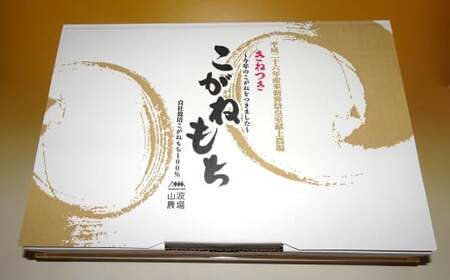 先行予約【期間・数量限定】杵つきこがねもち 白餅 400g入×6パック（計48切） 切り餅 新潟県産[Y0505]