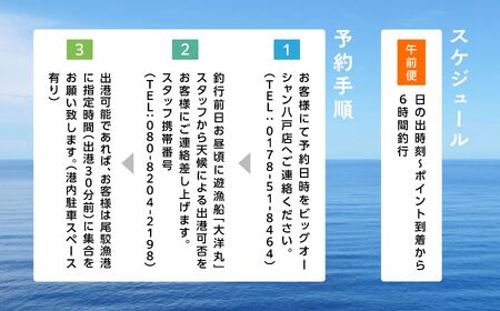 【午前船】初心者～玄人まで大満足！チャーター船での船釣り体験【10名様まで同時利用可能】遊漁船チャーター券（遊漁船　大洋丸） １～10名乗船可