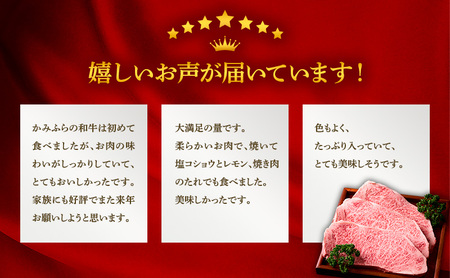 かみふらの和牛 すき焼き 400g 肩 バラ モモ 混合 国産牛  黒毛和牛 牛肉 高級肉 贅沢お取り寄せ 北海道産 家族向け 希少部位 プレゼント 贈答用 冷凍配送 農林水産賞受賞
