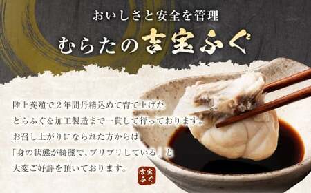とらふぐ「鍋」セット 吉宝ふぐ『焼きひれ／特製ポン酢／もみじおろし付き』 ふぐ 河豚 フグ とらふぐ トラフグ 鍋 ふぐ鍋 雑炊 ひれ酒 熊本県 上天草市
