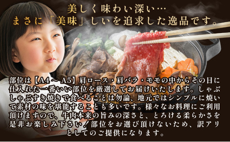 訳あり 佐賀牛しゃぶしゃぶすき焼き750gセット						