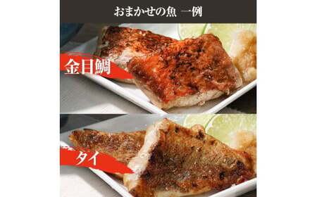 焼魚 4種食べ比べ(さば＋鮭＋旬の魚2種) 計4袋