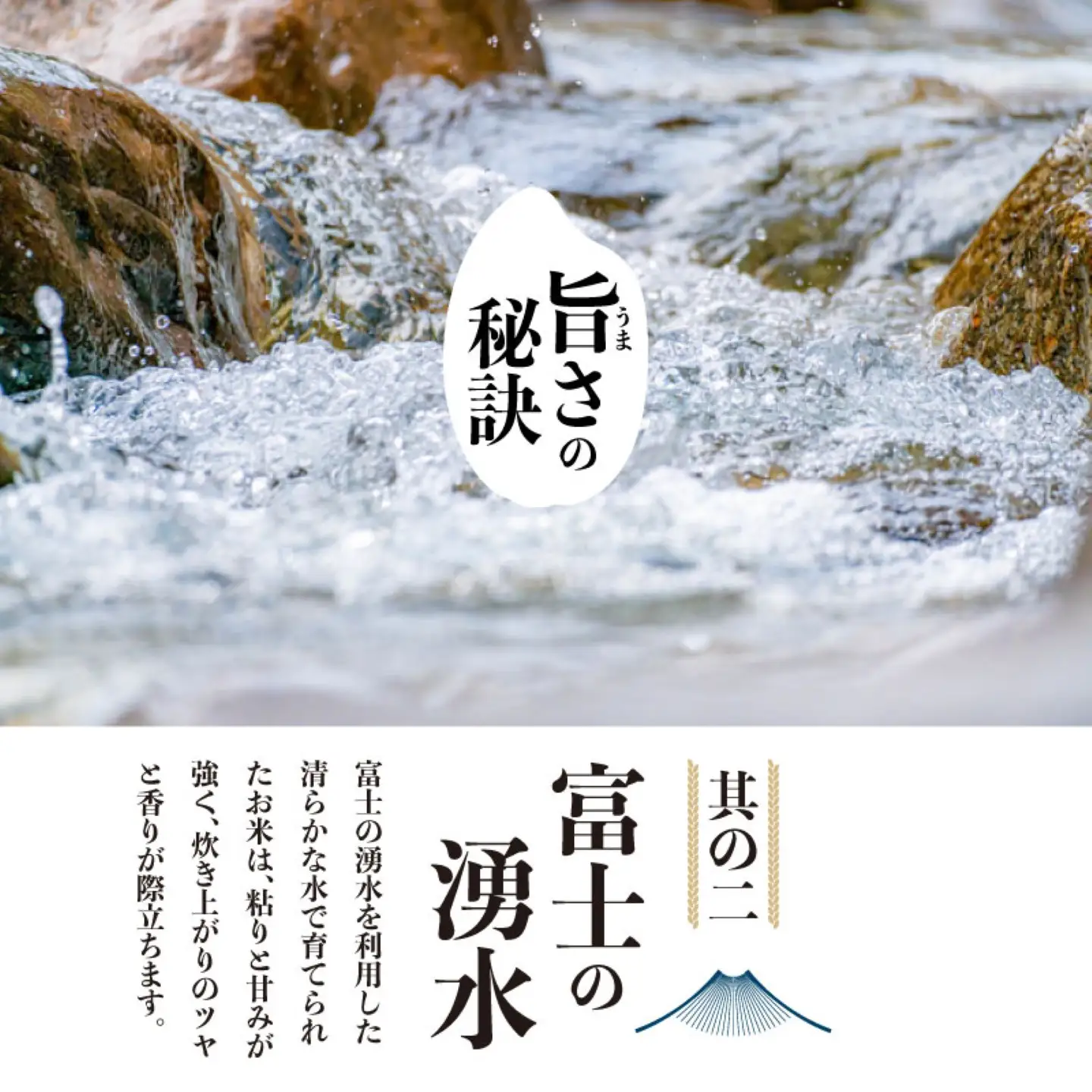 【令和8年産】山梨県都留市産こしひかり[5kg]   こしひかり こめ 米 お米 