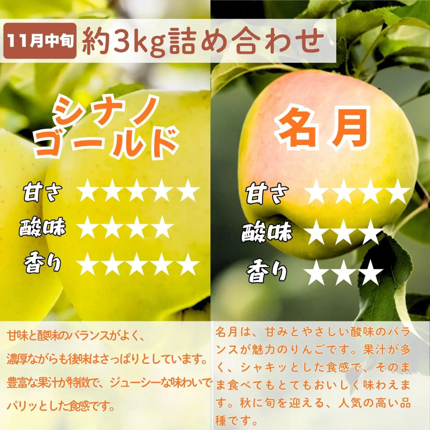 【先行予約│2026年発送 定期便 全4回】旬のりんご定期便 （At-029）