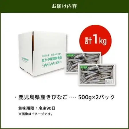鹿児島県産キビナゴ1kg【配送不可地域：離島】【1186221】