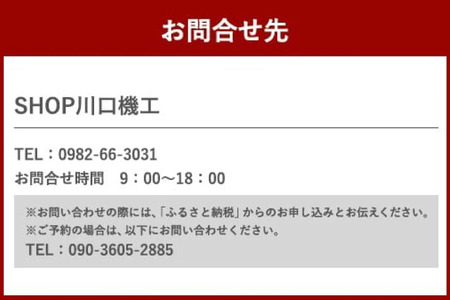 体験 ウェイクボード 上級者コース [SHOP川口機工 宮崎県 美郷町 31bj0015]